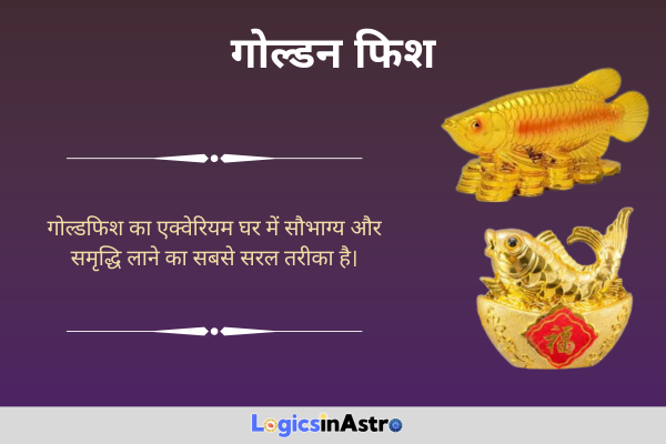 गोल्डन फिश (Goldfish)