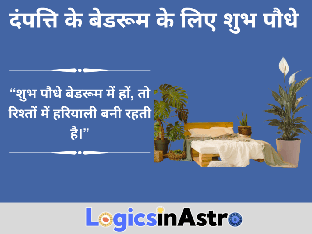 दंपत्ति के बेडरूम के लिए शुभ पौधे